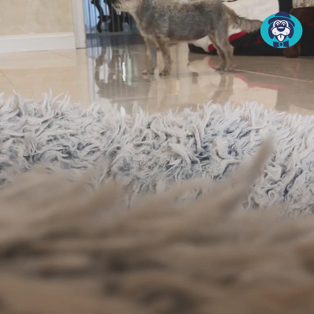 Anxiety Calming Pet Bed